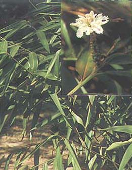 UploadFiles/2008313173016734.jpg